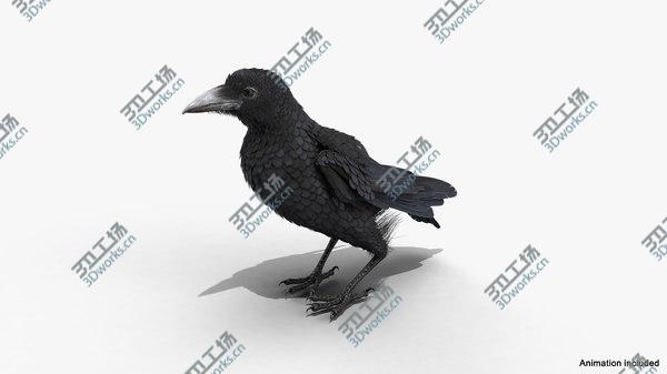 images/goods_img/20210312/Raven Animated Collection 3D model/3.jpg